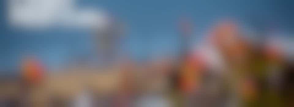 Festival Wardens - Environment