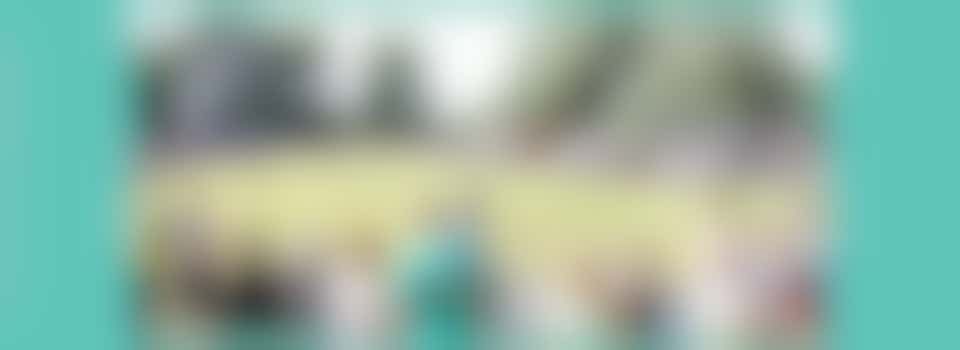 Event Steward with Beccles Carnival