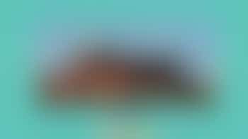 Community Hub Volunteer at Pavilion Theatre