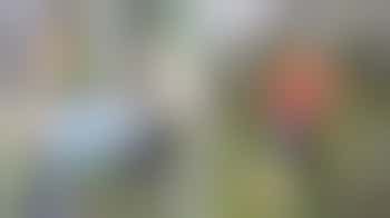 Coördinator sociale moestuin Schilderswijk