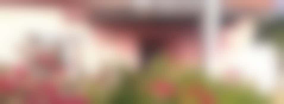 Dementievriendelijke tuinopruiming en kasafwerking