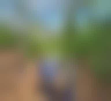 Werkgroepen IVN Maasduinen