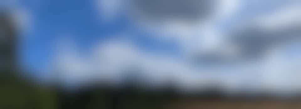 Dinsdag Wandeldag! Vrijwilliger gezocht voor wandelaars met dementie