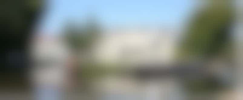 Trustee of Parndon Mill Arts Trust