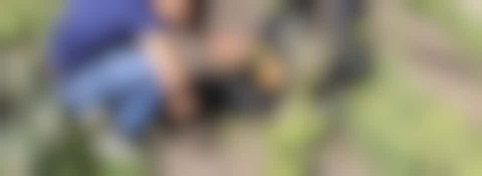 Moestuinplezier! Werken en Genieten in de Moestuin!