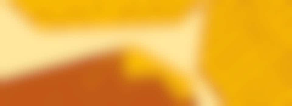 We're looking for new Lifecraft Trustees