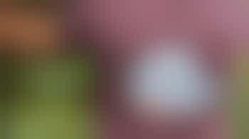 Ben jij een Fitte Vutter met groene vingers? m/v/x