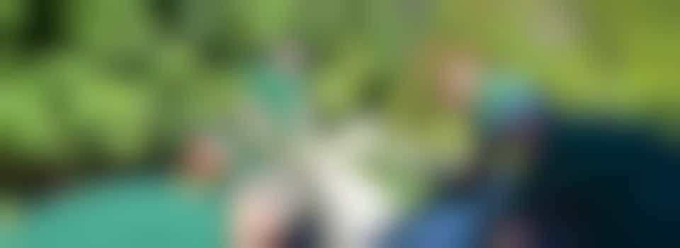 Volunteer Gardener - East Cambs only