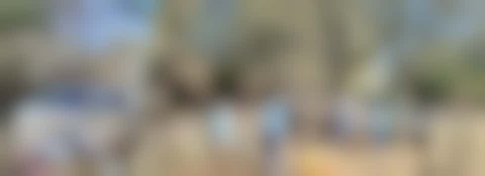 Barnwell Verge: Seeds of Hope gardening