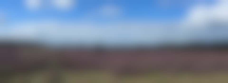 Will you support our Walking Club 1x per month?