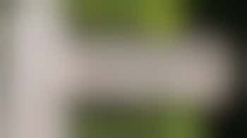 Communication and Marketing Volunteer or Trustee