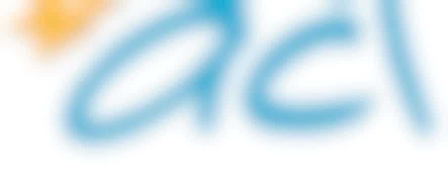 Dragon Boat Race Stewards/ Volunteers