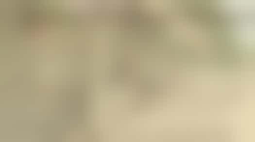 Gardening Volunteers Required