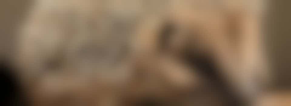 Afternoon Hedgehog Care Assistant