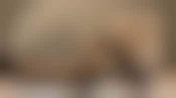 Afternoon Hedgehog Care Assistant