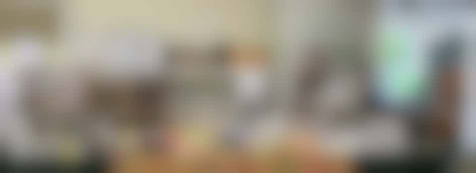 Fundraising and Events Volunteer