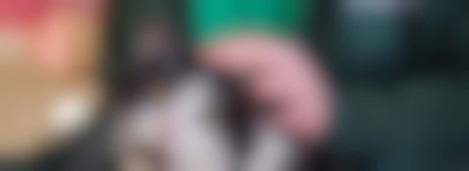 Pet Helpline Service - Call Handler