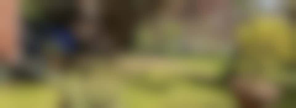 Volunteer Gardening Enthusiasts needed!