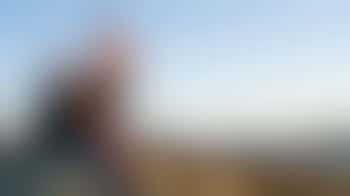 Volunteers needed for Scouting supporting young people aged 14-18 years old