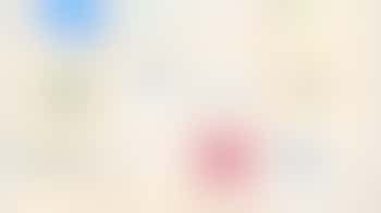 Coventry VCSE Alliance member networking