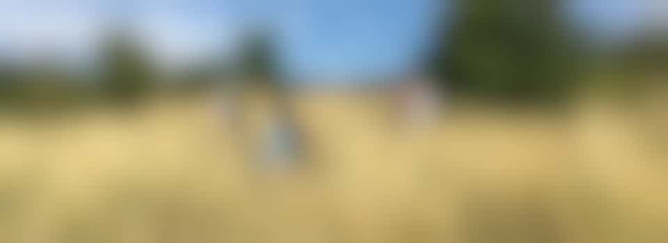 Youth Rangers of the Fen - Butterfly Survey