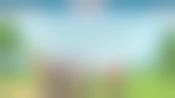 Vrijwilliger wandelgroep gezocht (di 10–12u)