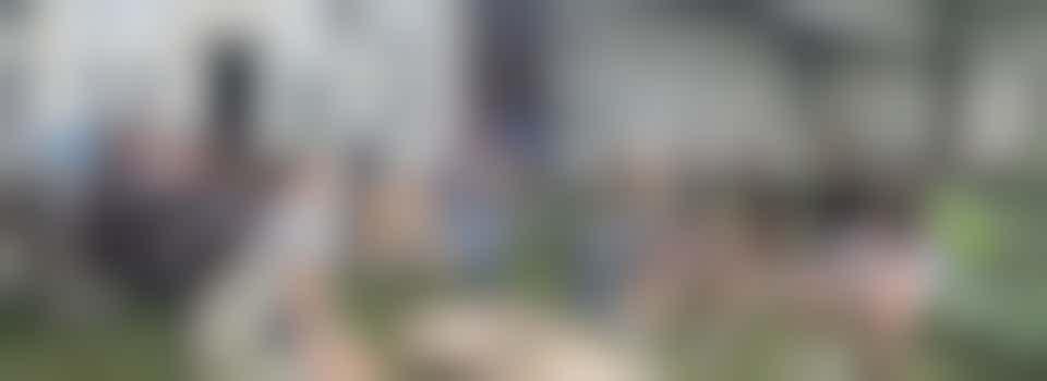 Onderhoud planten in Plantenbank