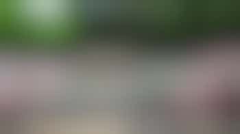 Bestuurslid (algemeen) bij Scouting Erica