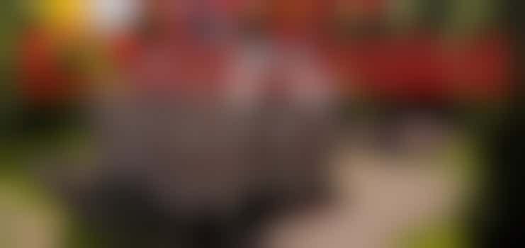 Piet spelen Het Logeerhuis van Sint Nicolaas (Verplicht min. leeftijd 15 jaar)