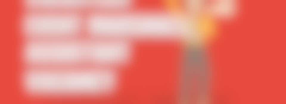 Event Marshall Assistant