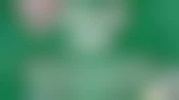 Chat Central Advent Arts: Christmas Tree Decorations