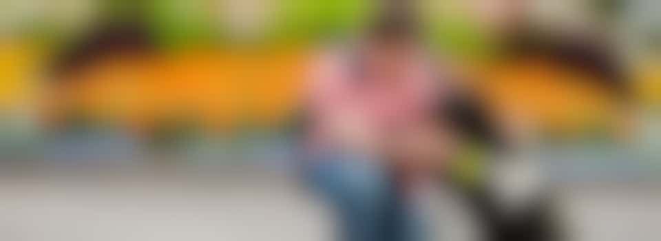 Volunteer with Guide Dogs Virtual Information Event