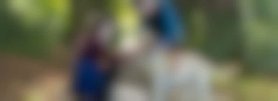 Virtual information event - could you look after a Guide Dog in training?