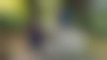 Training Dog Fosterer