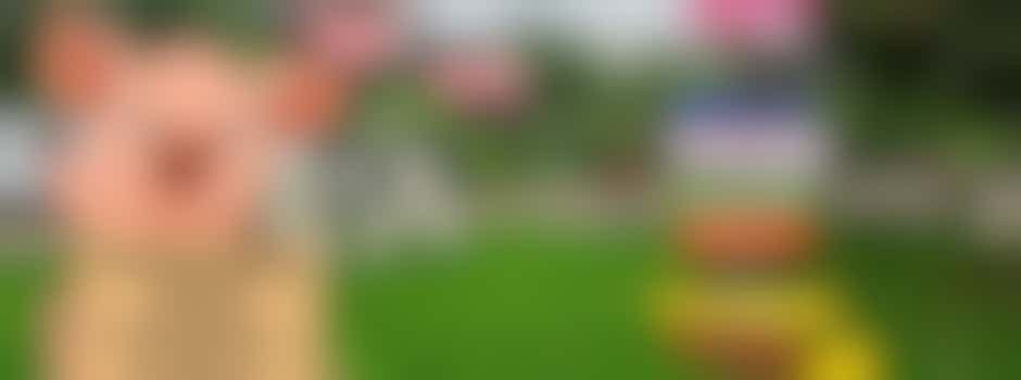 Vier dierendag op de dorpsboerderij