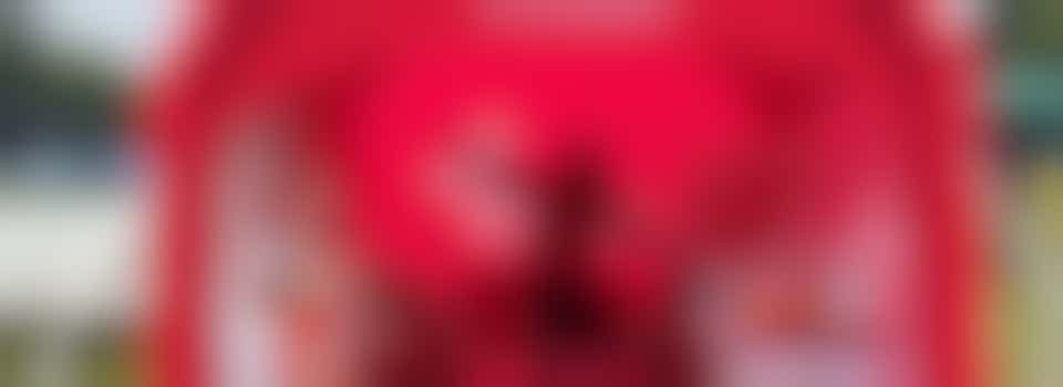 Logistics and Events Volunteer