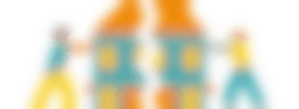 Volunteer Employment Coach