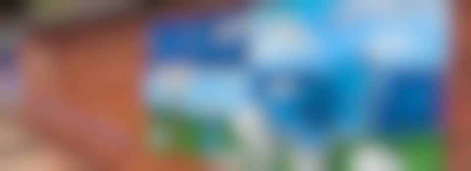 Community Train Station Garden Volunteer