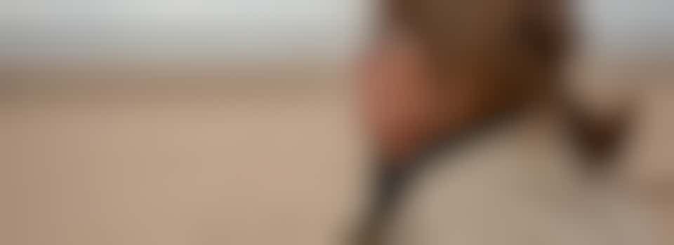 Seasonal Wellbeing Angels