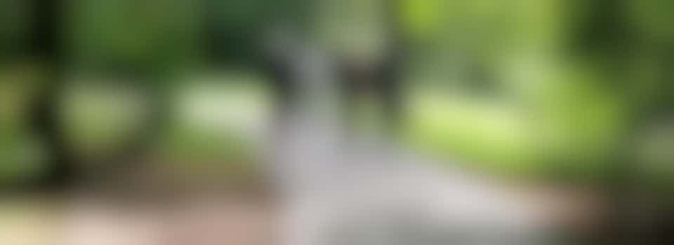 Sportieve vrijwilligers met sociale vaardigheden