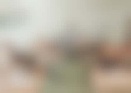 Surveillanten gezocht