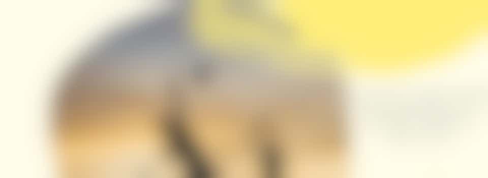 Beachvolleybal voor de jeugd