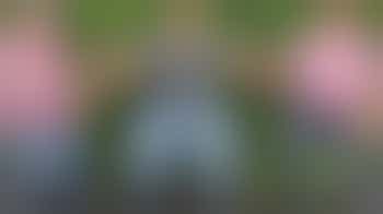 Sinterklaasfeest met Pennywafels