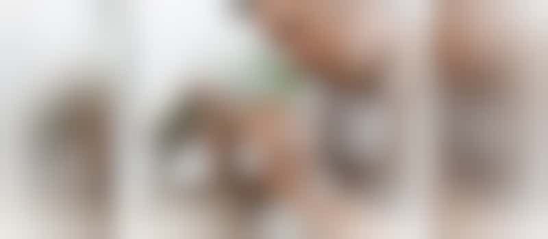 Frank geeft vogels tweede leven