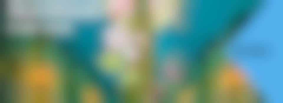 Sluit aan! de Nacht van de Utrechtse Geschiedenis op 11 okt