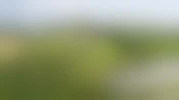 College Lake Friday Conservation Work Party Volunteer