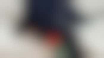 Pet Food Bank Volunteer