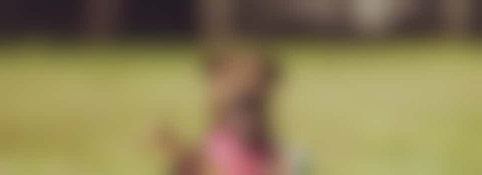 Toymaking Facilitator