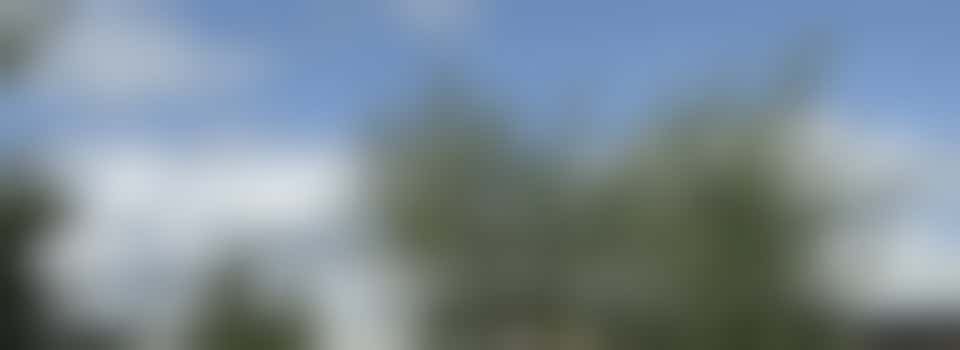 Growers in Gloucester