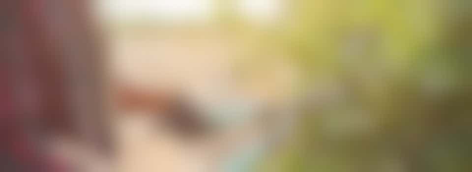 Volunteer Gardeners needed - Aylesbury